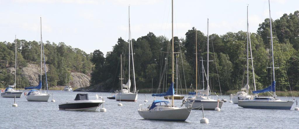 Kollektorslang. Visste du? Svajbojar kan skada bottnarna.