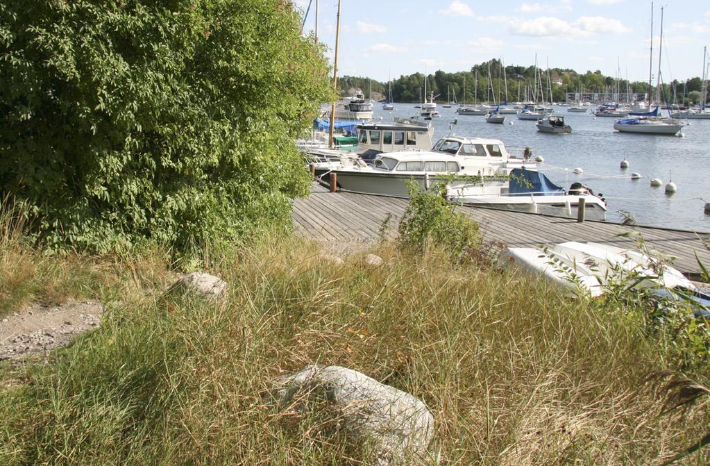 Plats för båtliv med bibehållen tillgänglighet Bryggor och båtplatser bör samlas och anordnas så