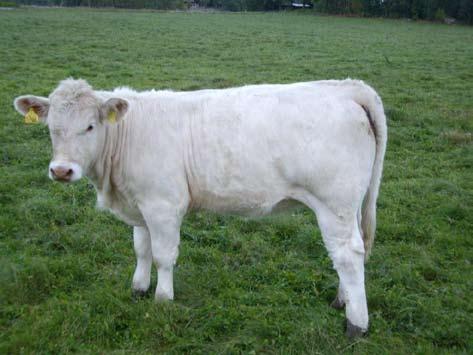 av Mellby