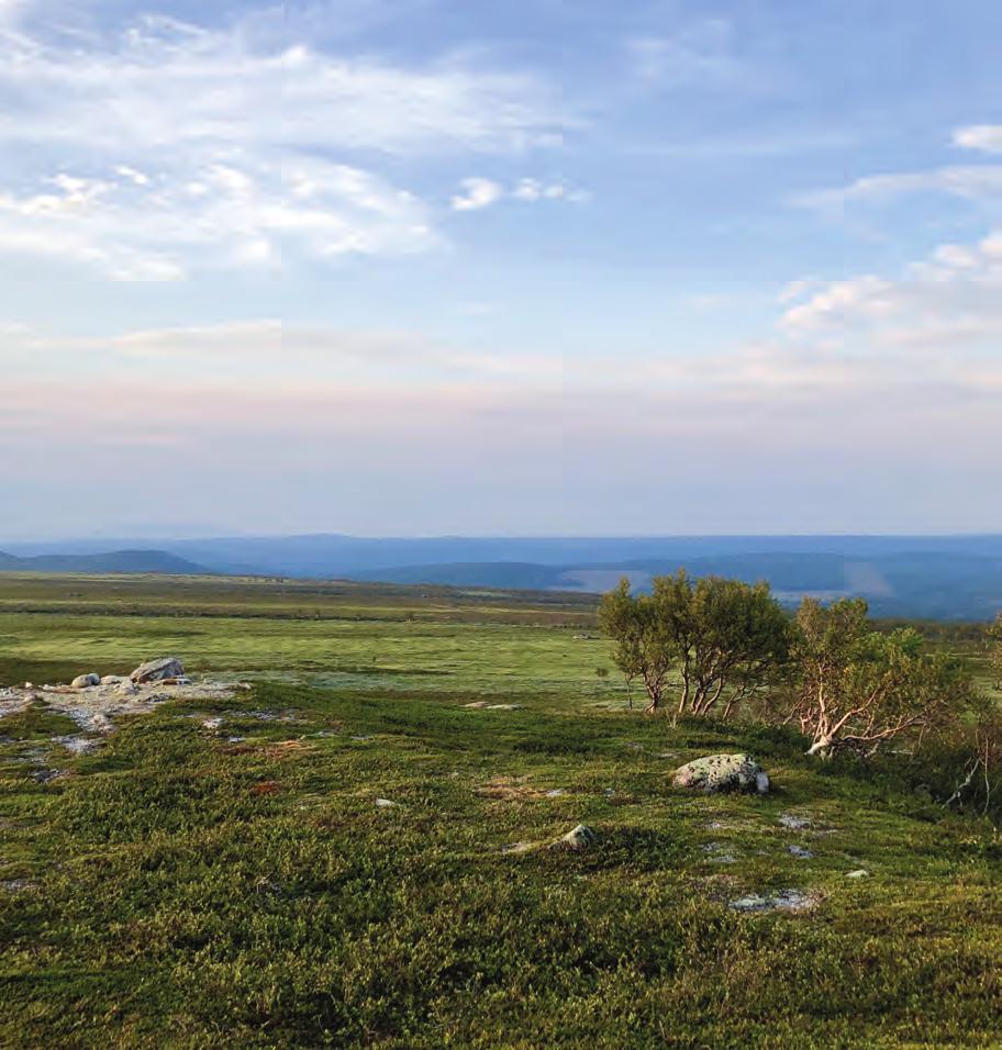 Vi når ut till samtliga hushåll i Härjedalen, och Klövsjö i Jämtland. Bladet finns även i butiker, turistanläggningar m.m. för turister och besökande och distribueras av oss själva och av Postnord.