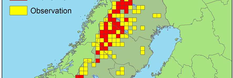 registrerades för 2004 samt för observationer av järv