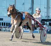 Alla minns vinnare m ing ash rowe och Johnny Takter vann Derystoet på nytt anrekord. Petri Puro är såväl uppfödare, ägare som tränare till toppstoet. Laura Myllymaa är skötare.
