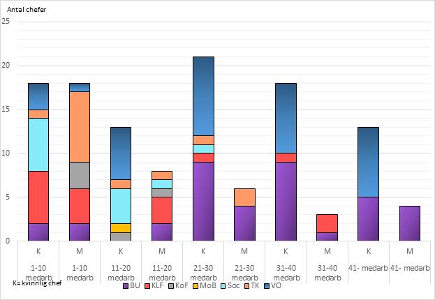 5 Lägesbeskrivning, år 2017/2018 Arbetsförhållanden Enligt medarbetarundersökningen som genomfördes hösten år 2017 så ser vi att kvinnor har ett lägre medelvärde än männen i de flesta frågor gällande