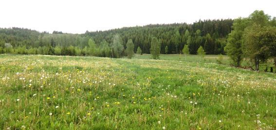 Efter planens upprättande har följande åtgärder utförts: Avdelningar: 1, 5,