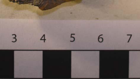 amfiboler och pyroxener; N = naturlig magring + M,A/P,Mu N 1 1100 1250 Metalldroppe, slagg Två fragment ur fyndposten har valts för analys.