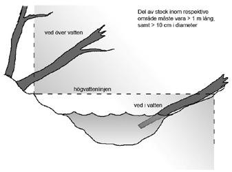 6.5 Dike/Vattendrag 6.