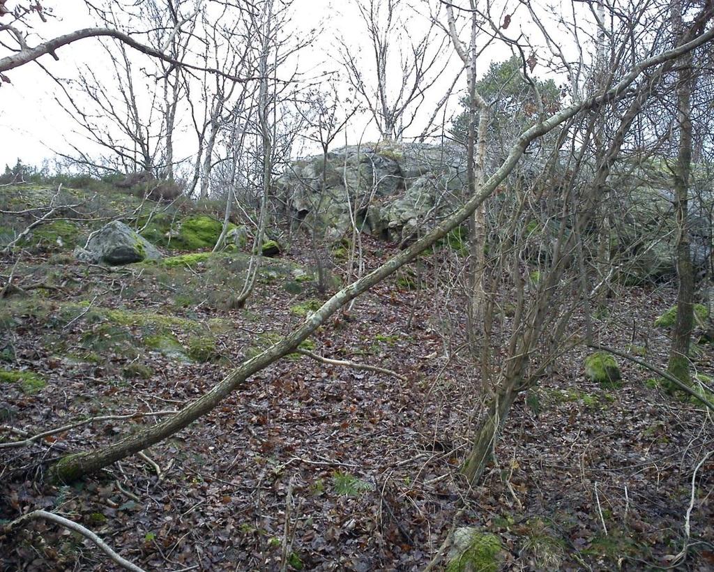 12 (15) av området (se bild 9) men bedöms inte under befintliga förhållanden medföra några större risker för blocknedfall.