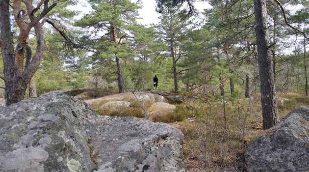 berg. De lägre liggande partierna i områdets västra och östra delar fungerade under samma tid som åker- och hagmarker (RAK id J112-74-17 & J133-10g6i58, LMS akt nr C41-42:1).