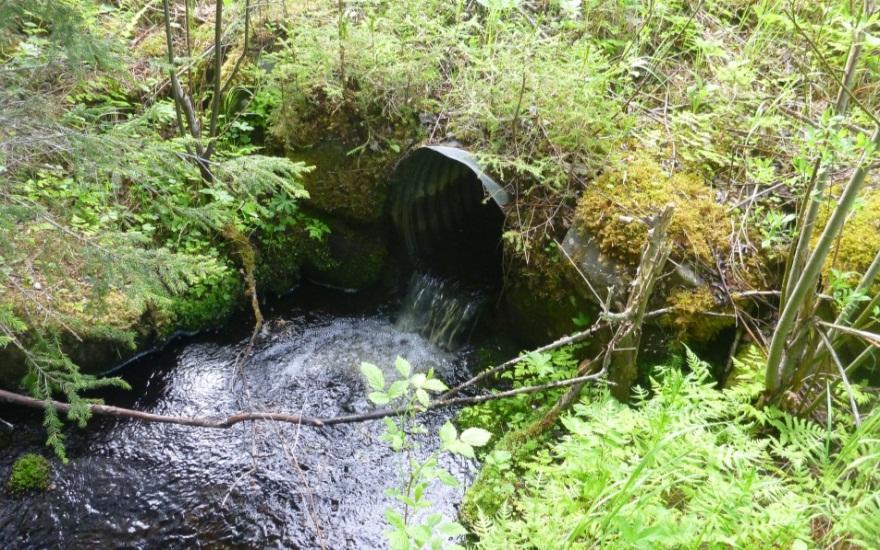 Tabell 3 Vattendrag i södra delen av Björnbergets projektområde Nr: Flöde (l/s) Kommentar 14 12 160 Hästbäckens passage under länsvägen. Två 1800 mm betongtrummor. Sumpskog mot projektområdet.