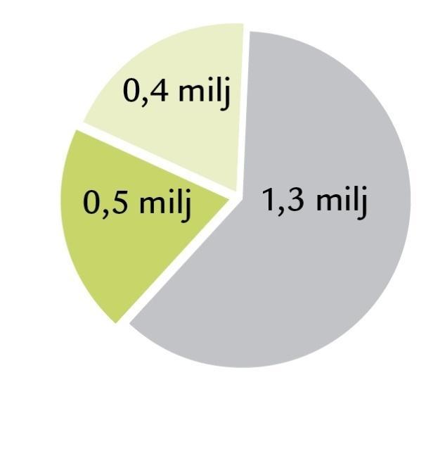 2025 2,2 miljoner
