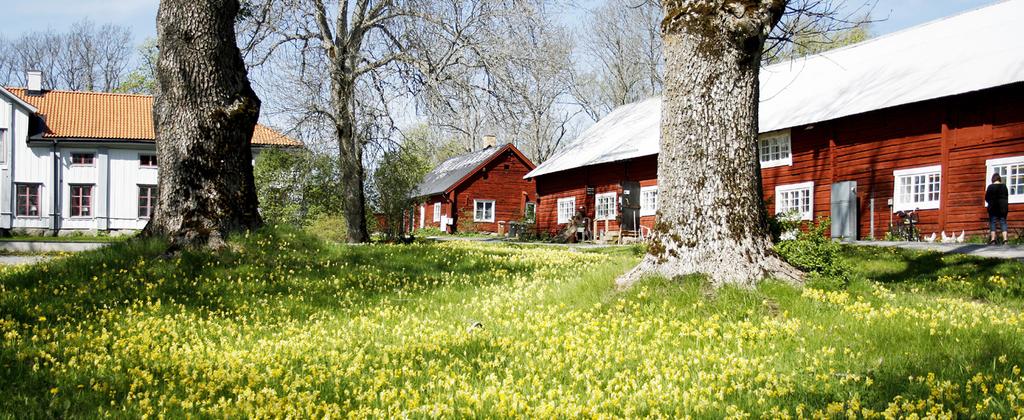 Skojboll Detta år var intresset för Skojbollsträningarna betydligt mindre än föregående år, vi tränade på onsdagskvällar från maj och till och med semesterperioden, men sedan avslutade vi säsongen