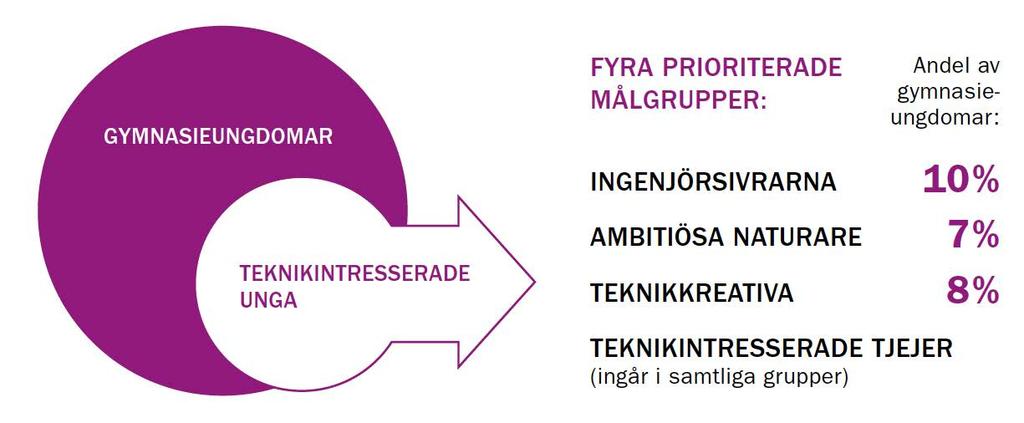 Vilka rekryterar vi till fysik/teknikutbildningar?