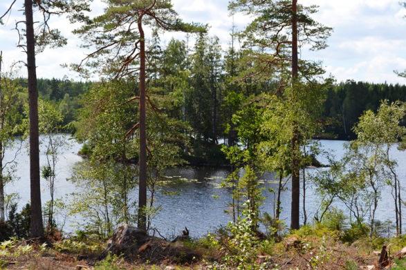 SAMFÄLLIGHETER, GEMENSAMHETS- ANLÄGGNINGAR: Enligt fastighetsregistret har fastigheten andel i två gemensamhetsanläggningar och en samfällighet.