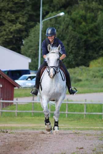 till ridning och hästkunskap. I Utbildningen ingick ridning - dressyr, hoppning och viss terrängritt - samt ridlärar, hästkunskap, instruktörskunskap, häst och stallvård.