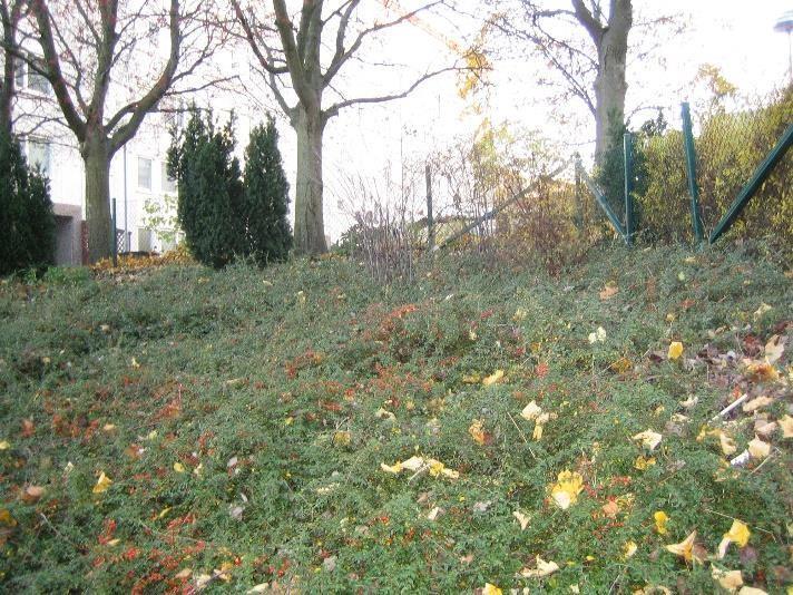 En plan yta måste skapas för en god tillgänglighet Berg i dagen: Nej men troligt att cirka 1 m måste
