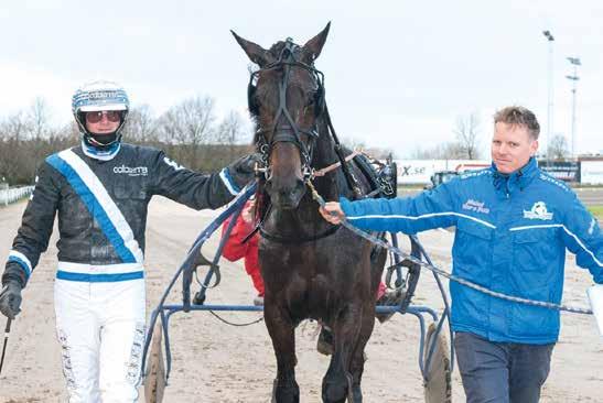 Elge De Busset Goop B Å / - /, Äg: Linné Trv AB, Mlmö Eriksson / - /, Svrt, vi