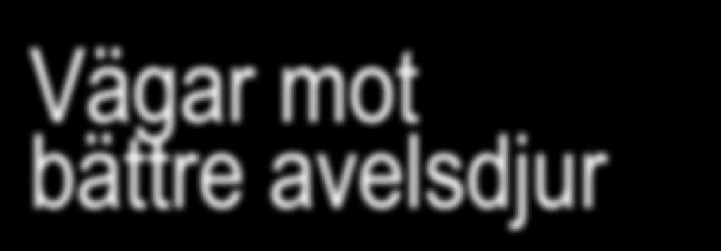 Vägar mot bättre avelsdjur Vi ville göra köttaveln mer synlig. Samtidigt ville vi erbjuda det bästa av det bästa till de lantbrukare som arbetar med att utveckla sina besättningar.