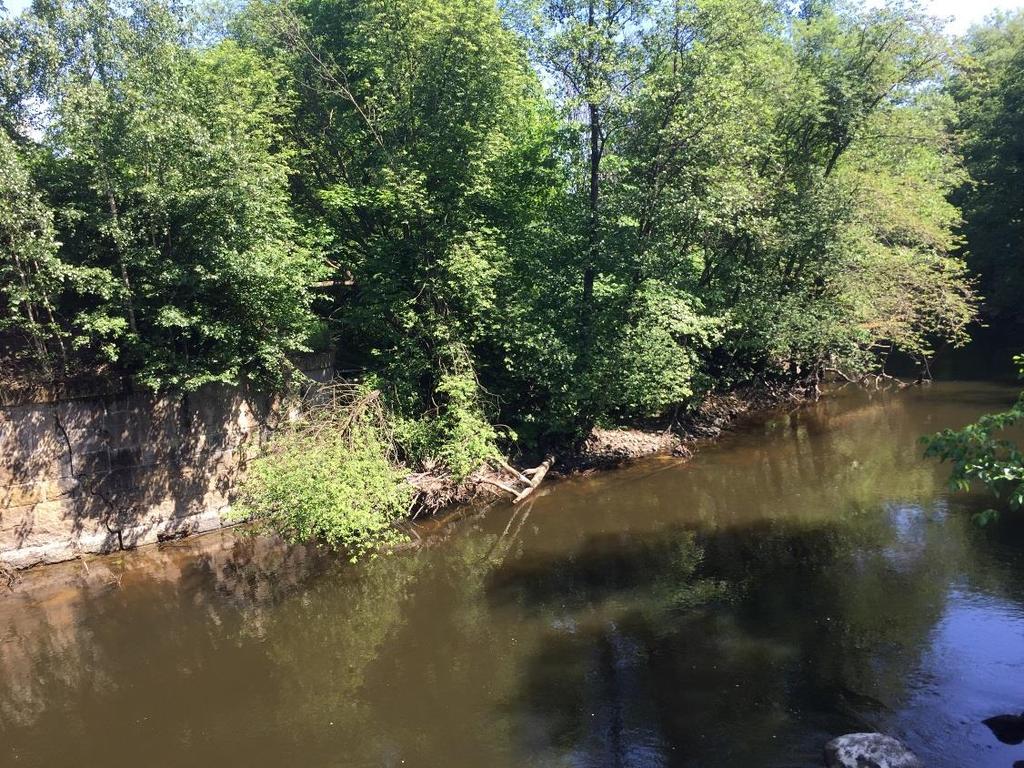 ID: NV_LR_04 Namn: Norra stranden uppströms järnvägsbron Naturvärdesklass: 3 påtagligt naturvärde Naturtyp: Skog och träd.