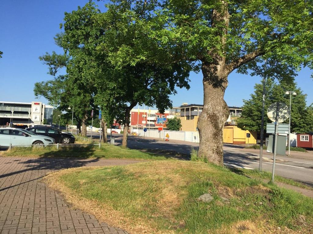 ID: BS_01 Objektstyp: Allé Beskrivning: Allé på södra sidan Stationsvägen. Sex träd av ask, skogsalm och lönn.