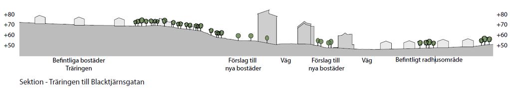 Sektion: Norconsult, På sektionen ovan syns den tillkommande bebyggelsen i mörkgrått. Den befintliga bebyggelsen är i ljusgrått.