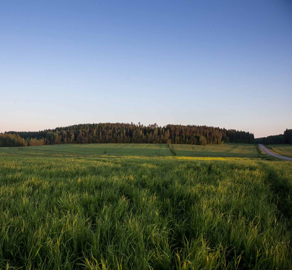 BILAGA FÖRDJUPAD ÖVERSIKTSPLAN SKELLEFTEÅS LANDSBYGDER Dnr: