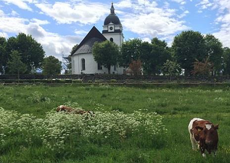 Alseda Vatten- och