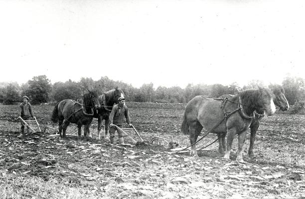 Hålltorps mejeriskjuts vid Varnhems Järnvägsstation år 1926. Kusk Georg Lindström. http://www.