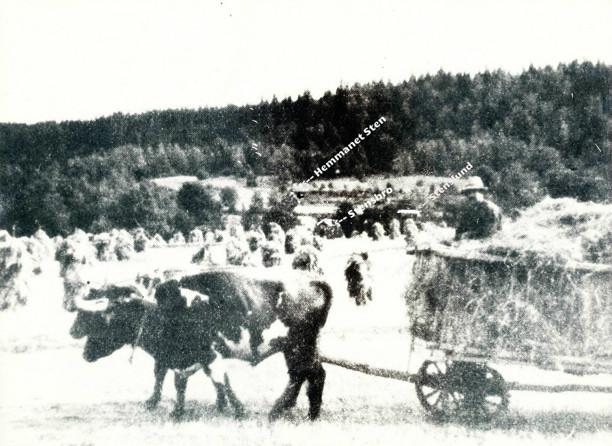 hemmanet Sten och torpet Stenslund dit Henning med familj flyttar 1938. Även Stensbro nära Fermabron finns med på bilden!