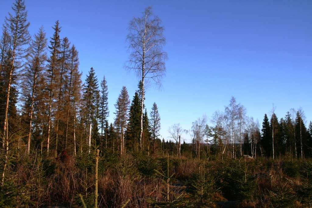 Underlag inför samråd enligt 6 kap.