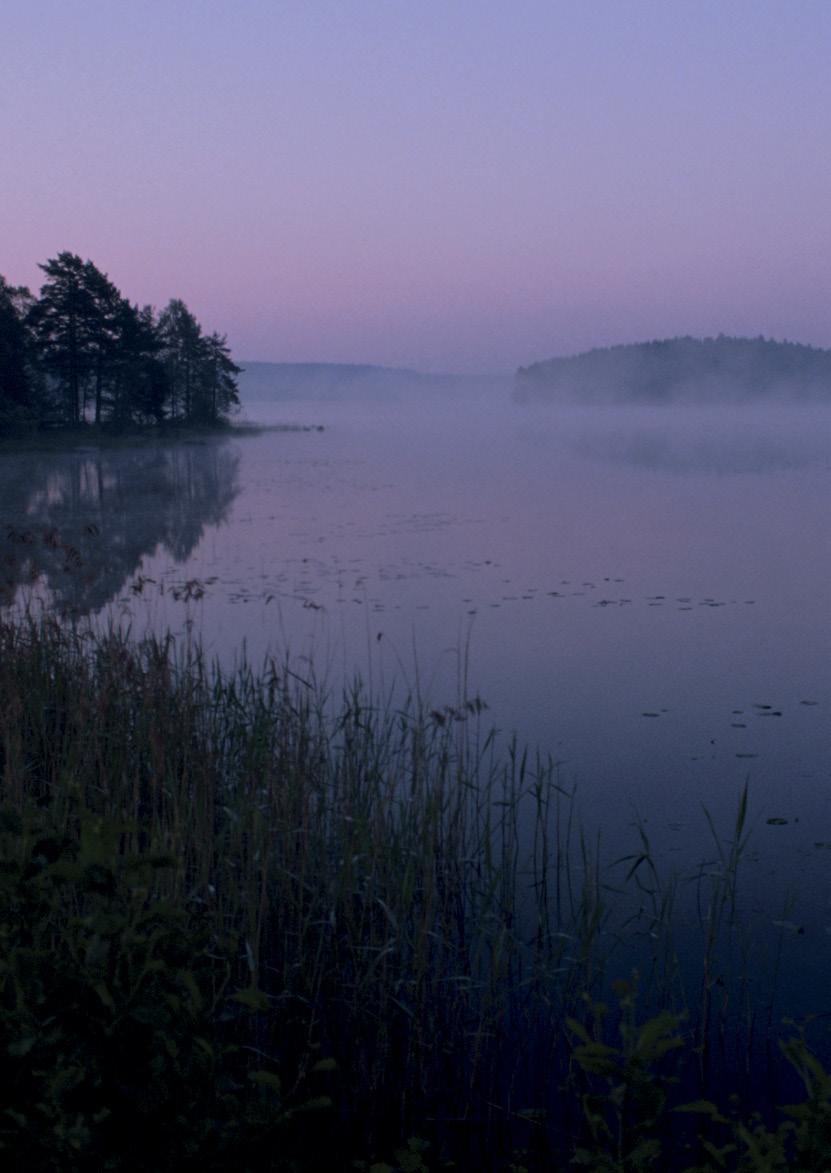 ELVÄRMDA