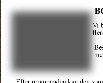 BOTANISKA TRÄDGÅRDEN Vi besöker Botaniska trädgården där vår guide sedan flera år,