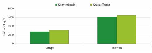 Kärnskörd, mineralkväve i marken och