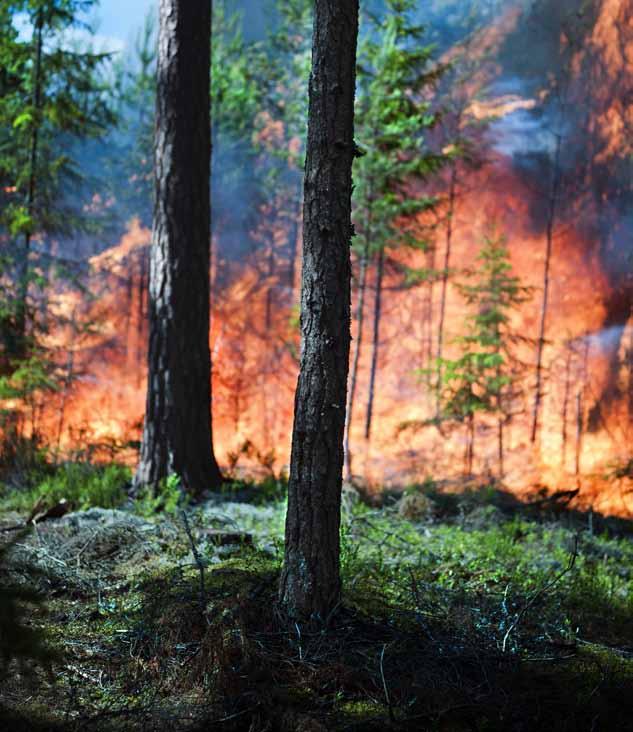 Klimatförändringar och