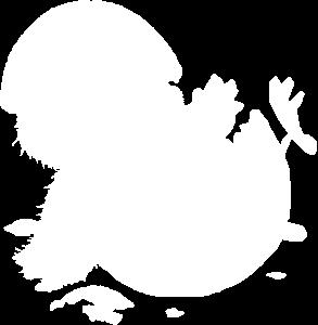 00 Föredrag Ledskär - livet förr & nu Ledskär var en av de första fyrarna i en serie som skapades för att göra inomskärsleden genom den sörmländska skärgården farbar under dygnets mörka timmar.