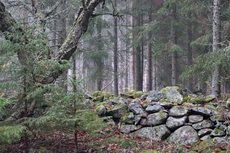 Skog och Mark Skogsmark Enligt skogsbruksplanen från 2018 är den produktiva skogsarealen 21,1 ha med ett bedömt virkesförråd om 2 063m3sk med ett genomsnittligt förråd om 98 m3sk/ha.