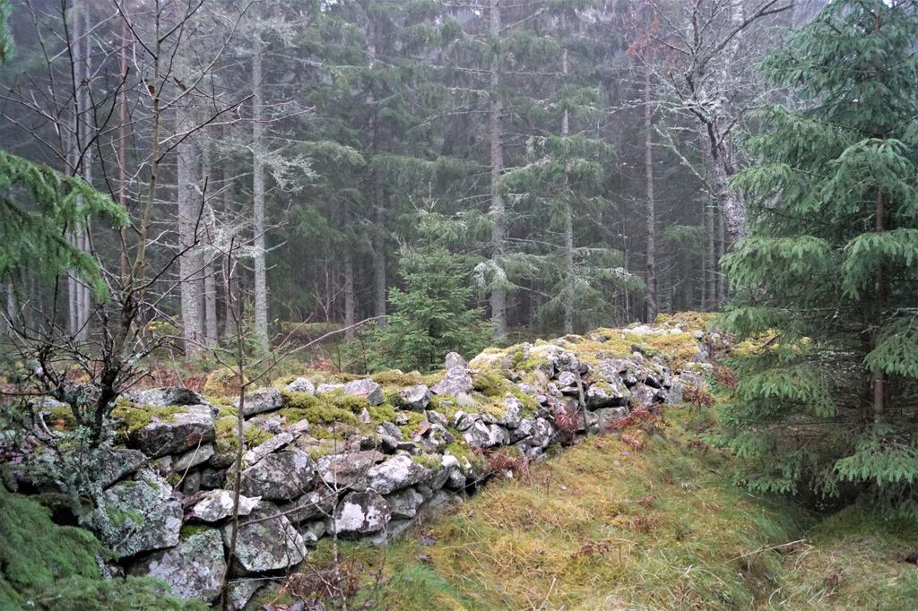 Försäljningssätt Förfarande Egendomen säljs via anbud senast 2019-01-18. Märk anbudet Rosendal, till detta skall bankreferens eller motsvarande lämnas. Använd gärna bifogad anbudsblankett.