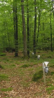 Ryssberget (K 07): Yta i en gammal bokskog med en mycket lång mätserie, från 1985, belägen strax norr om Sölvesborg.