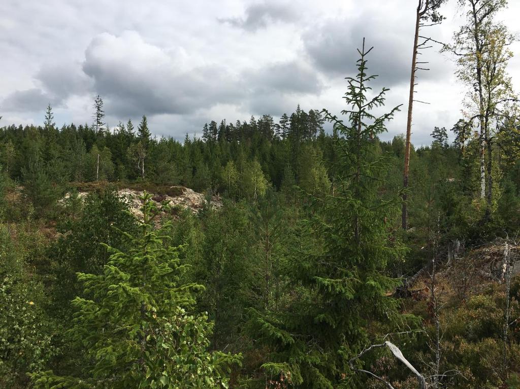Figur 8 och 9. Foton som visar typiska vyer i landskapet. 5.1.1 Konsekvensbedömning och skadelindrande åtgärder Påverkan kommer att variera beroende på val av slutlig sträckning och val av teknik.