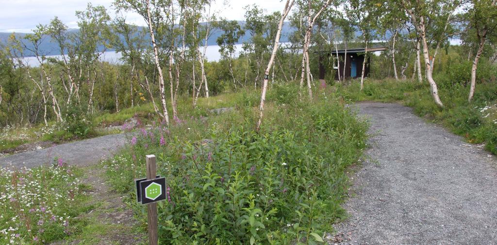 Från naturum Om du vill färdas den gula turen hela vägen från naturum (utan bil) hittar du den första hänvisningsskyltningen cirka 25 meter