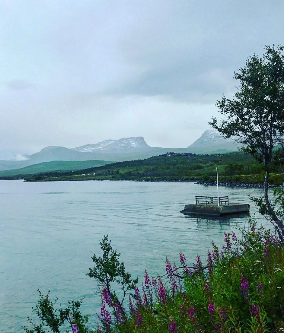 kanjonen och en rastplats.