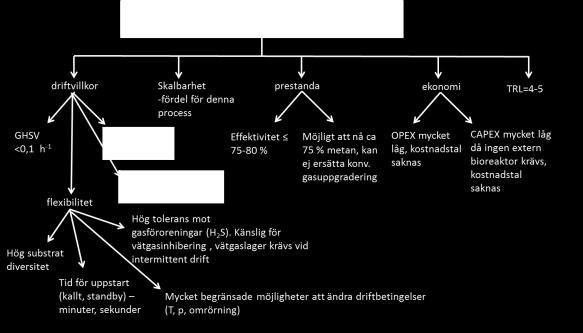 6.2 TEKNISKA MÖJLIGHETER OCH UTMANINGAR MED IN-SITU BIOLOGISK METANISERING I en in-situ metaniseringsprocess injiceras vätgas direkt i en biogasprocess för att utnyttja förmågan hos de metanogener
