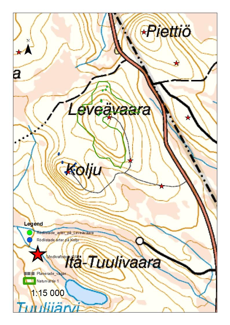 Bilaga 2 Karta med artfynd ur naturskyddsföreningens inventering på bergen Kolju och Leveävaara, avgränsningen för naturvärdesområde klass 1 och
