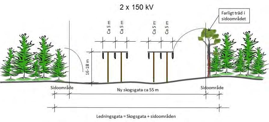 Gemensam konstruktion kan vara av stål eller komposit med en normalhöjd på 25-35 meter (Figur 4.4). Spannlängden (avståndet mellan stolparna) kommer vanligtvis att vara 200-250 meter.