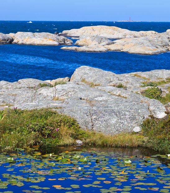 4 OMRÅDET Lugn idyll intill vidsträckta ängar 3 minuter med bilen till Marstrand.