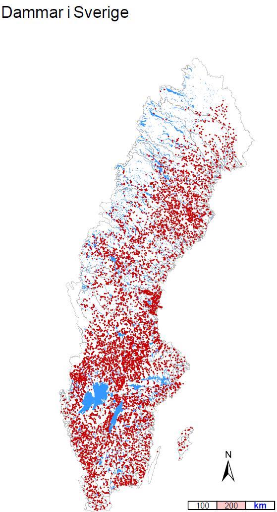 Exemplet Dammar Ca 11 000 dammar i Sverige de flesta går att göra ekologiska anpassningsåtgärder för.