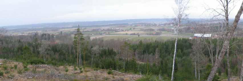 Sårbara viktiga värden: Stora sammanhängande skogsmarker samt våtmarker med ställvis höga naturvärden Tämligen tysta och oexploaterade områden Viktiga områden för det rörliga friluftslivet, i