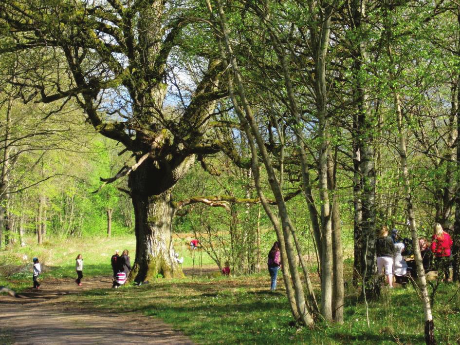 NATURCENTRUM AB 2013-02-28 INNEHÅLLSFÖRTECKNING ÖVERGRIPANDE RIKTLINJER... 4 TÄTORTSNÄRA REKREATIONSSKOGAR DOMINERAR... 5 SYFTE MED RIKTLINJERNA... 6 FÖRSLAG TILL RIKTLINJER.