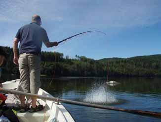 Inledning Under perioden 2-6 augusti 2010 genomförde Fiskeriverkets utredningskontor i Härnösand på uppdrag av Länsstyrelsen Västernorrland fiskinventeringar i Gaviksfjärden och Omnefjärden.