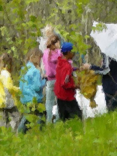 Utvärdering av Nynäshamns Naturskolas verksamhet Enkätsvar från elever i åk 4 och 6 E leverna har en naturskoledag per år med Nynäshamns Naturskola i åk 1, 2, 3, 5, 6 och 9.