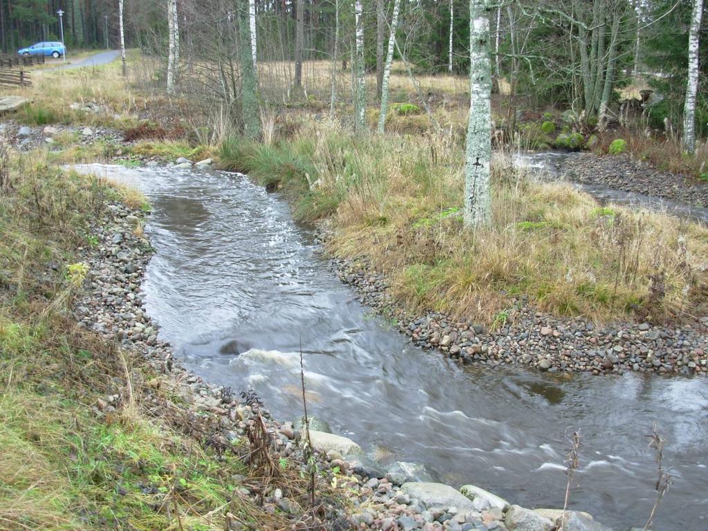 Figur 18. Foto på lokalen I Vetlandabäcken som ligger i fiskvägen ( omlöpet) nedströms dagvattendammen. Foto: P. Johansson.